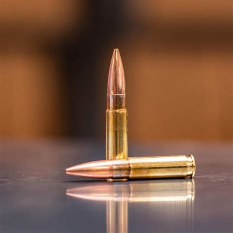 3 Reasons to Love Subsonic Ammunition | OutdoorHub
