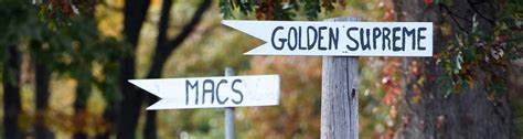 About Us Berlin Orchards