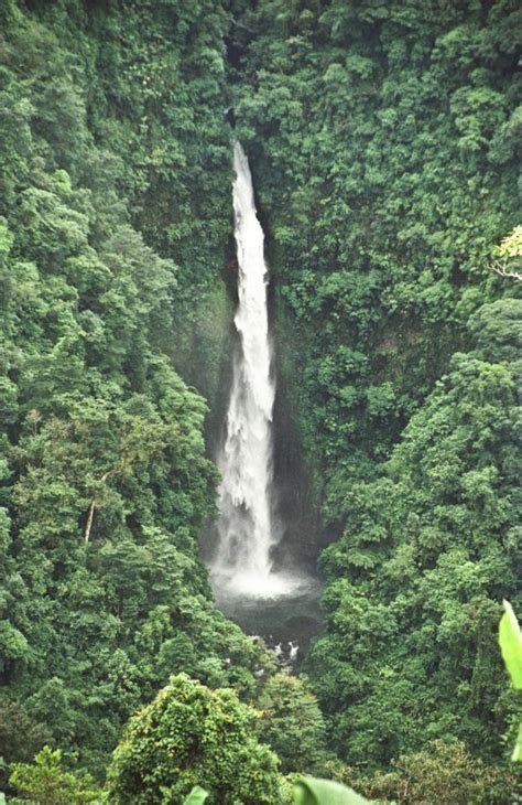 Parque Nacional Braulio Carrillo Fundaci N De Parques Nacionales De