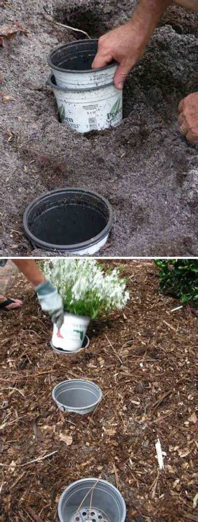 Top Incredibly Clever Gardening Tricks For Your Garden Amazing Diy