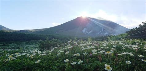 大雪山旭岳ロープウェイ 北海道索道協会