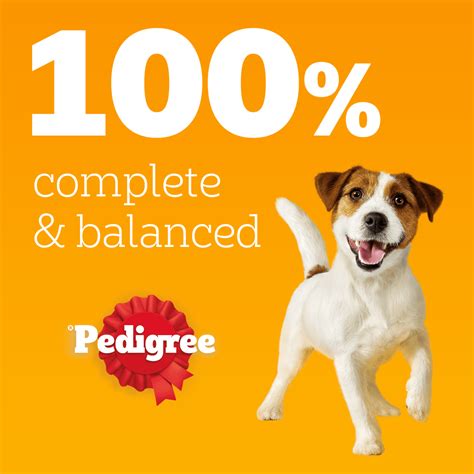 PEDIGREE® Adult Wet Dog Food Pouches Mixed in Gravy Giant Pack 80 x 100g