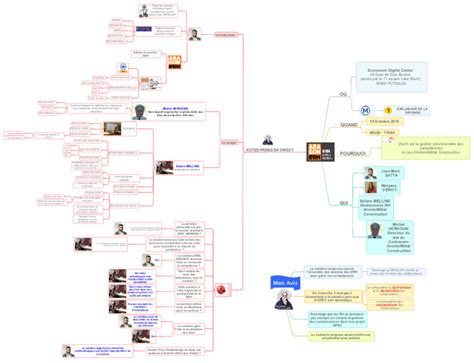 Retour Expérience ARCELOR MITTAL GPEC iMindMap mind map tem