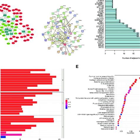 Cerna Network Construction Ppi Network Analysis And Functional