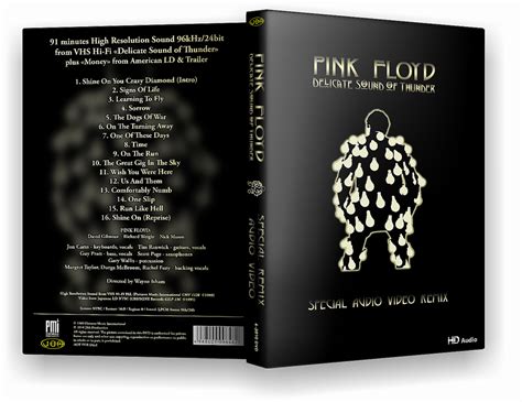 Pink Floyd Delicate Sound Of Thunder Special Audio Video Remix