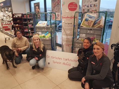 Ein Ganzes Auto Voller Spenden Tierheim Alsfeld