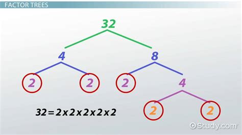 What Is A Prime Factor Lesson For Kids Lesson