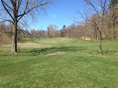 Open Grassy Field Surrounded By Forest Stock Image Image Of Open