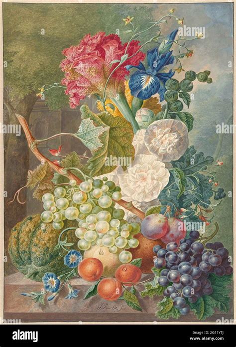 Vida Con Flores Y Frutas El Gran Modelo De Jan Van OS Fue El Pintor De