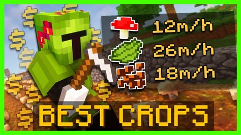 The Best Crops To Farm Hypixel Skyblock YouTube