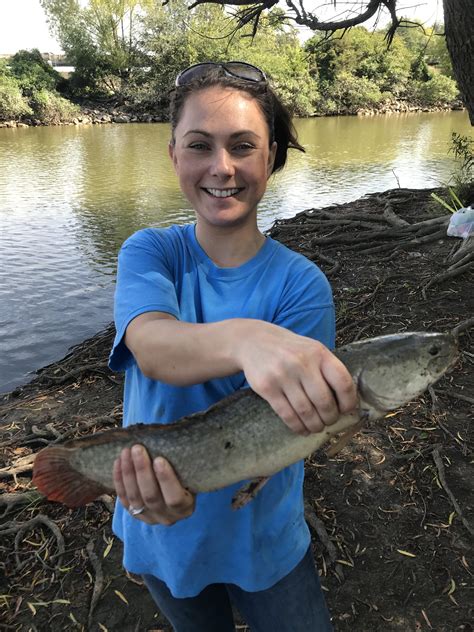 256 best Bowfin images on Pholder | Fishing, Kayakfishing and Sneakers