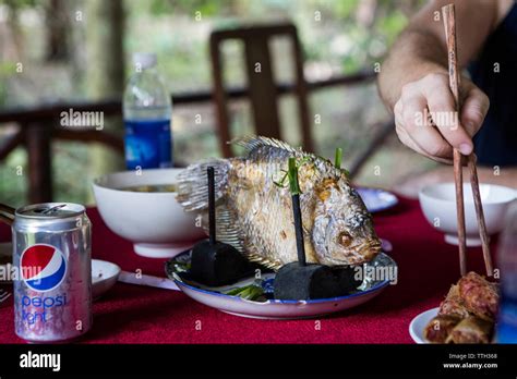 Vietnamese elephant fish ear hi-res stock photography and images - Alamy