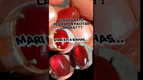 BATI RED BARON PACITAN LANGKA INI ALASANNYA Redbaronpacitan