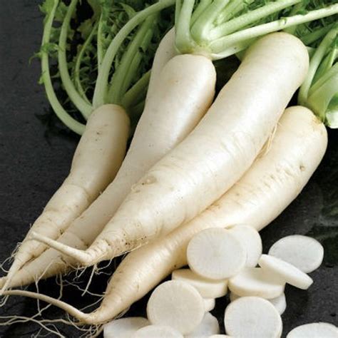 White Icicle Radish Seeds 100 Seeds Non Gmo Etsy