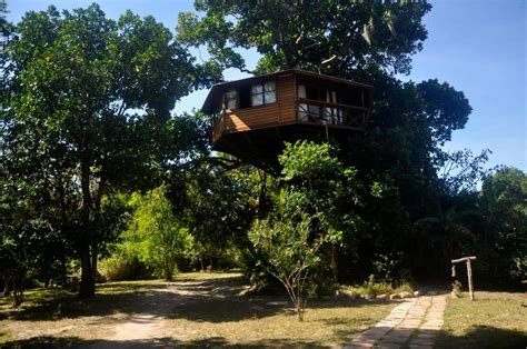 Casas Na Rvore No Brasil Casas Para Se Hospedar