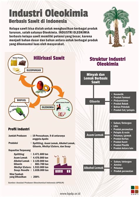 Mengenal Tanaman Kelapa Sawit Ciri Ciri Fisiologi Tanaman Kelapa Sawit