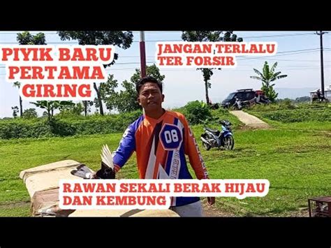 Latihan Piyik TEAM GONG PE Dan PLAYER Selesai Mabung YouTube