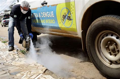 Dengue Spreads Fast In Brazil Prompting Emergency Health Measures Nestia