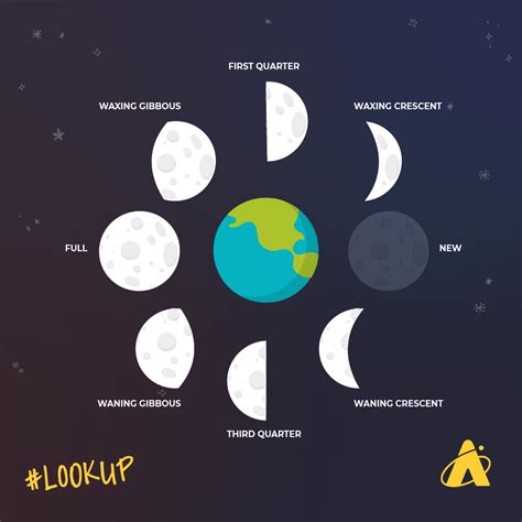 Solar Eclipses And Lunar Eclipses Explained Adler Planetarium