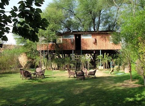 Best Tree House Resorts In India Tree House Stay In India