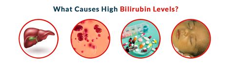 High Bilirubin Levels Hyperbilirubinemia Symptoms Causes Tests