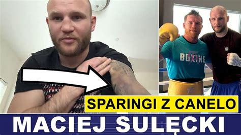 SULĘCKI SZCZERZE O SPARINGACH Z CANELO YouTube