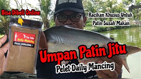 UMPAN JITU Umpan Patin Kolam Harian Pelet Racikan Gacor Umpan