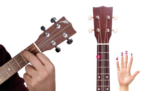 Ukulele Am Chord Ukulele Accordo Di Lam Uke For All