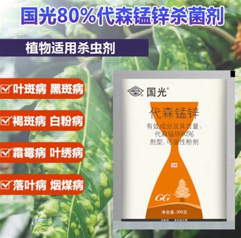 国光代森锰锌，本品为80％代森锰锌可湿性粉剂，是保护性杀菌剂，预防苗木叶斑病、炭疽病及霜霉病等叶部真菌病害，200g袋，1袋装 融创集采商城