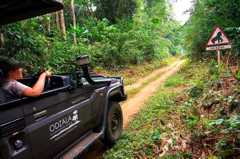 Luxury And Private Congo Safaris Extraordinary Journeys