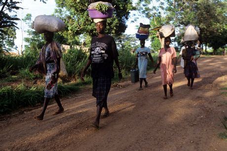 Woman Dinka Tribe Scarification Sudan Africa Editorial Stock Photo ...