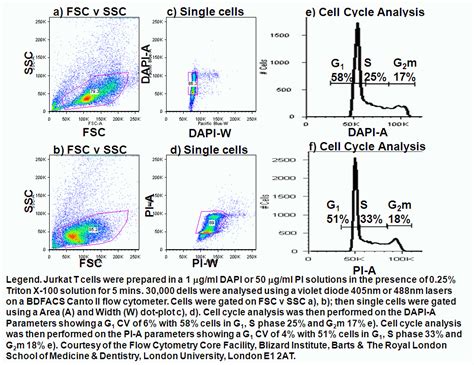 Cell Cycle Analysis Flow Cytometry Core Facility