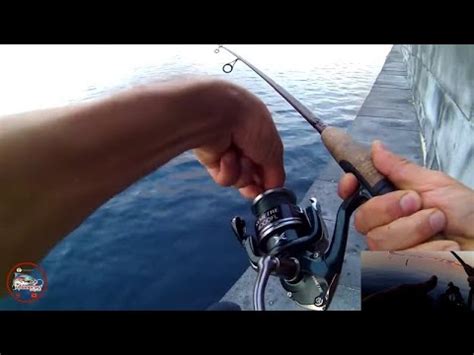 Spinning In Mare Ferrate In Diretta Con I Temerari Della Pesca YouTube