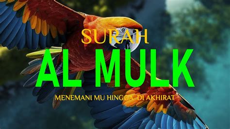 Bacaan Merdu Surah Al Mulk Pengantar Tidur Terhindar Dari Siksa Kubur