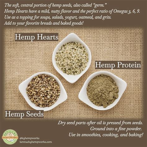 From Hemp Seed To Hemp Protein Powder And Everything In Between Kentucky Hemp Works