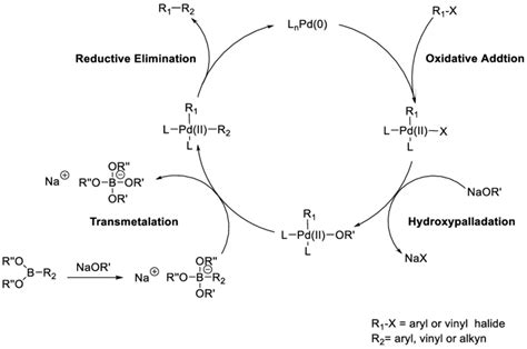 7 Catalytic Cycle Of Palladium In The Suzuki Miyaura Cross Coupling