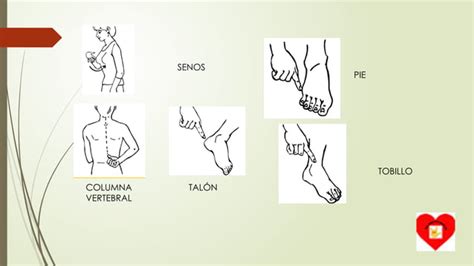 Ppt Partes Del Cuerpo Lengua De Se As Pptx