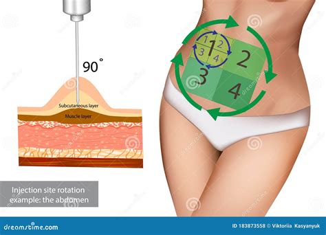 Injection Into Buttocks Line Icon Injections Concept Intramuscular