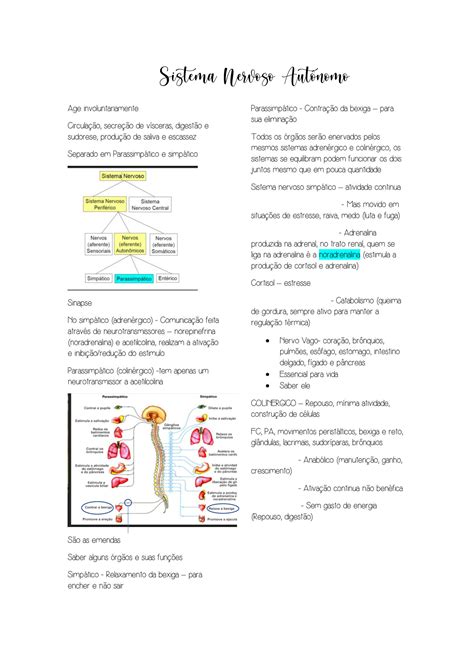 SOLUTION Farmacologia Do Sistema Nervoso Autonomo Studypool