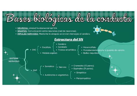 Bases biológicas de la conducta Ciclera desesperada uDocz