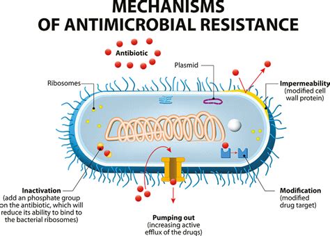 New Molecules Help Battle Antimicrobial Resistance