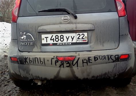 Енот-свинотыч… — Nissan Note (1G), 1,4 л, 2007 года | просто так | DRIVE2
