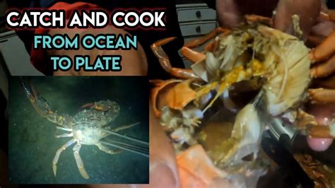 Ep120 MANAMIS NAMIS ANG LASA PAG BAGONG HULI CATCH AND COOK