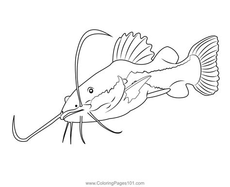 Coloring Page Catfish Png Infortant Document The Best Porn Website