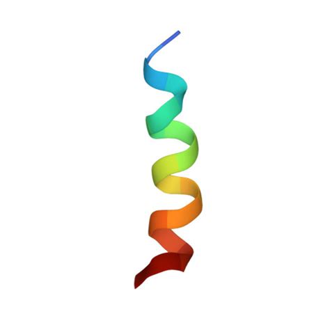 Rcsb Pdb Lx Nmr Solution Structure Of Peptide A N From Mus