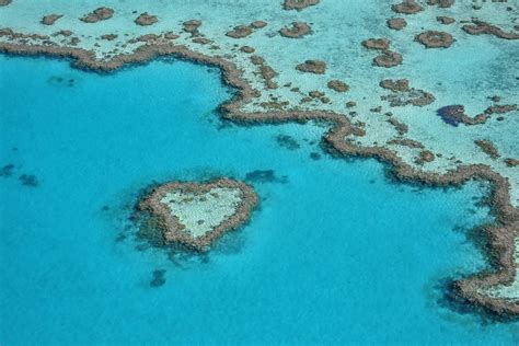 Scenic Flight Over Great Barrier Reef And Whitsundays 1 Hour Airlie