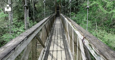 Brown Wooden Bridge Near Trees At Daytime Photo Free Ravine Gardens