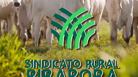 Transmissão ao vivo de Sindicato dos Produtores Rurais de Pirapora