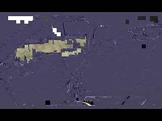 Breastfeeding In Public Bus Sex Free Xxx Tubes Look Excite And Delight Breastfeeding In