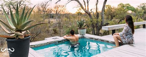 Simbambili Lodge Toro River Lodges African Dream Safari